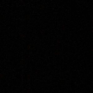 Meet your Posher, Eva